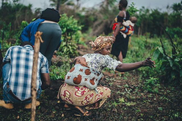 Women farming cassava in Sierra Leone