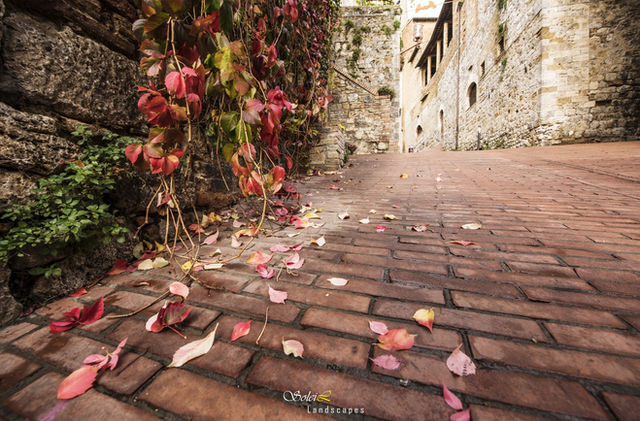 San Gimignano, Italy