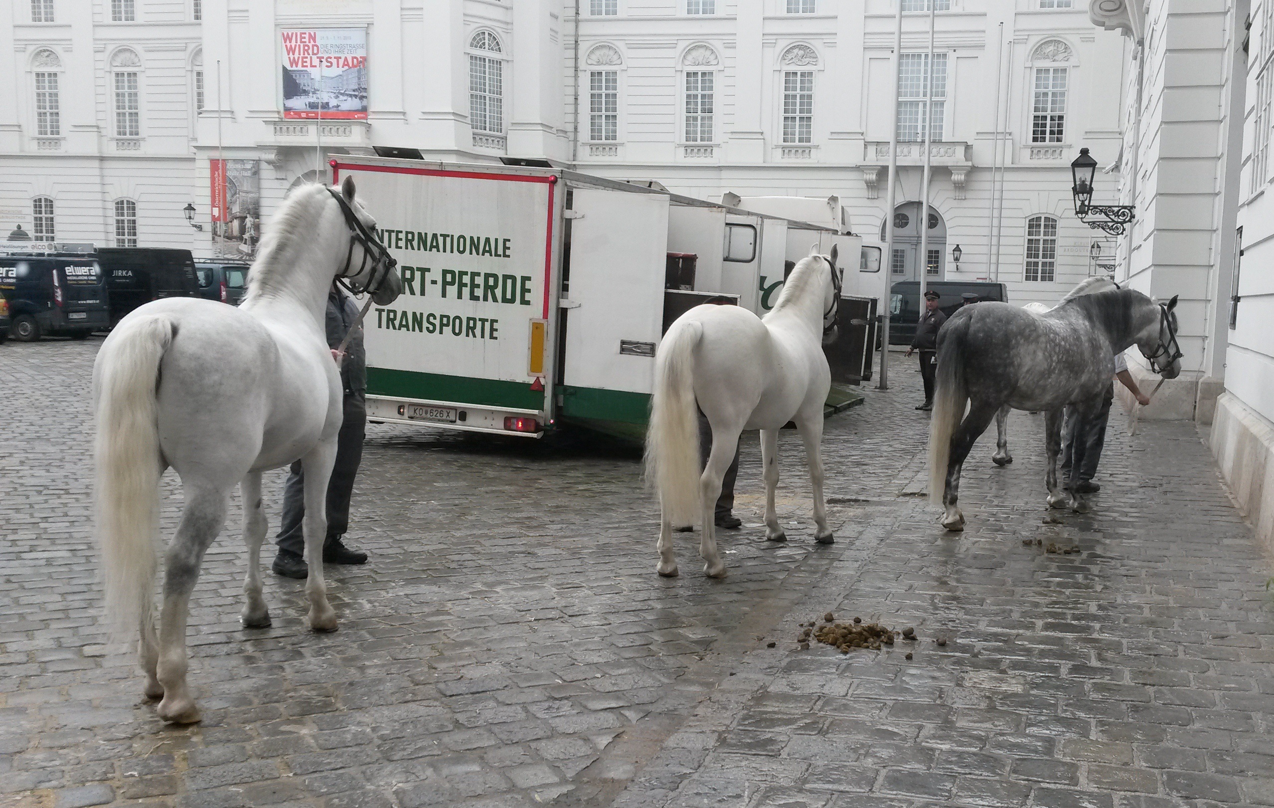 Spanish Riding School Winter Hall, Vienna