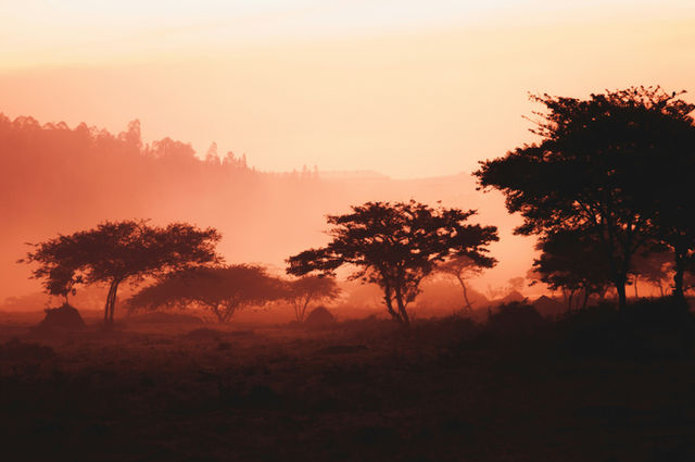 Sunrise