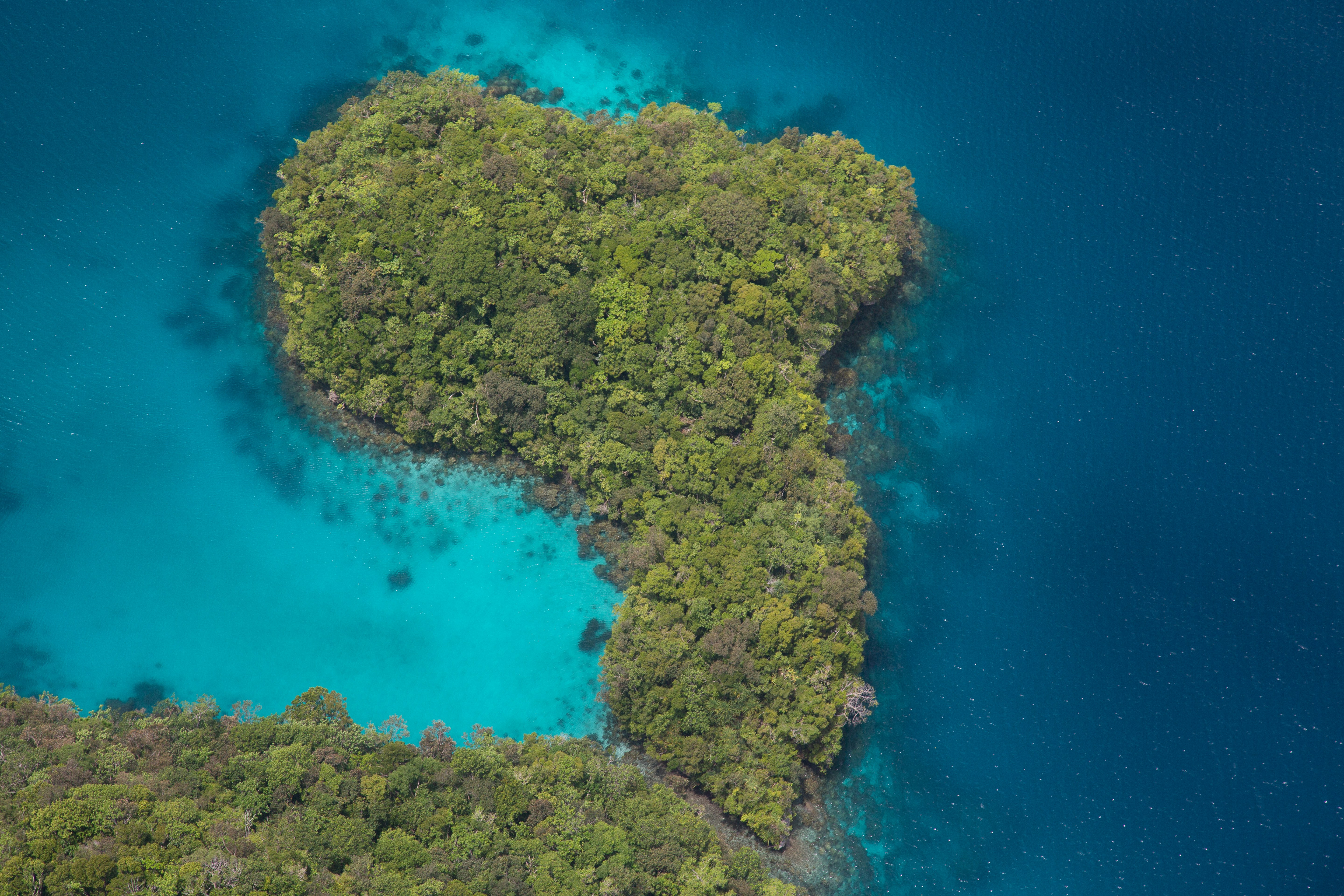 Palau — image 2