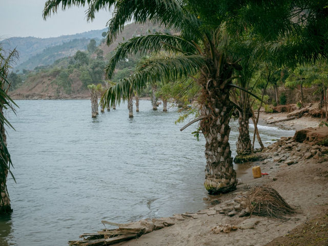 Peaceful lakeside scene with palm trees and mountains in Burundi, East Africa.