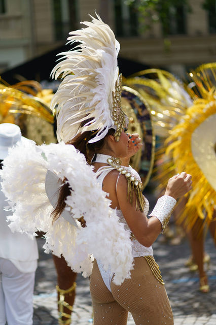 White and gold, plumes rising behind the shoulders