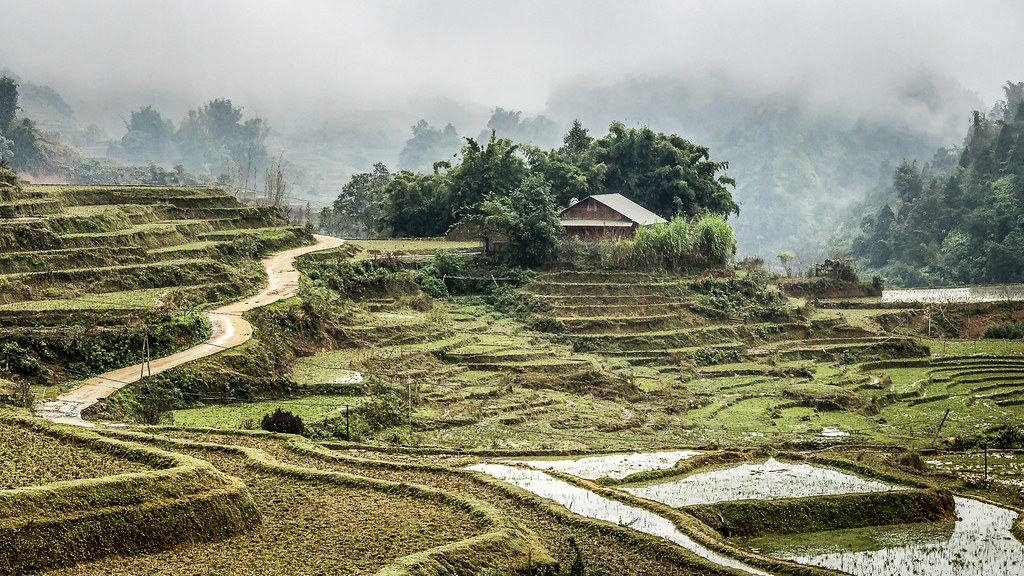 Vietnam — hero