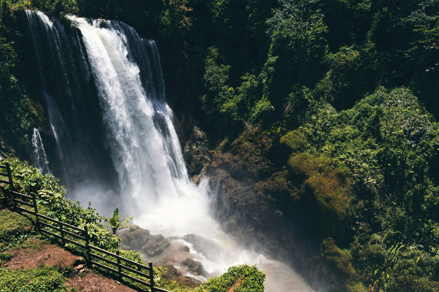Waterfalls in the middle of the forest.