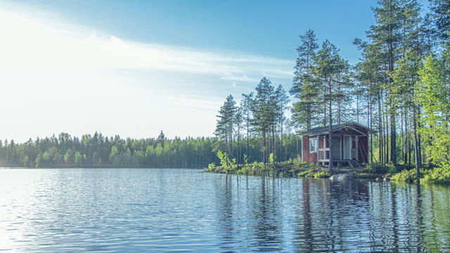 Finnish summer. This is all you need.