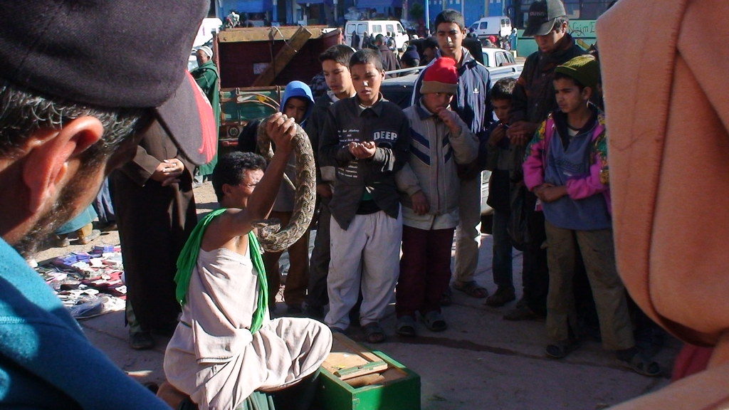 Essaouira — photo 12