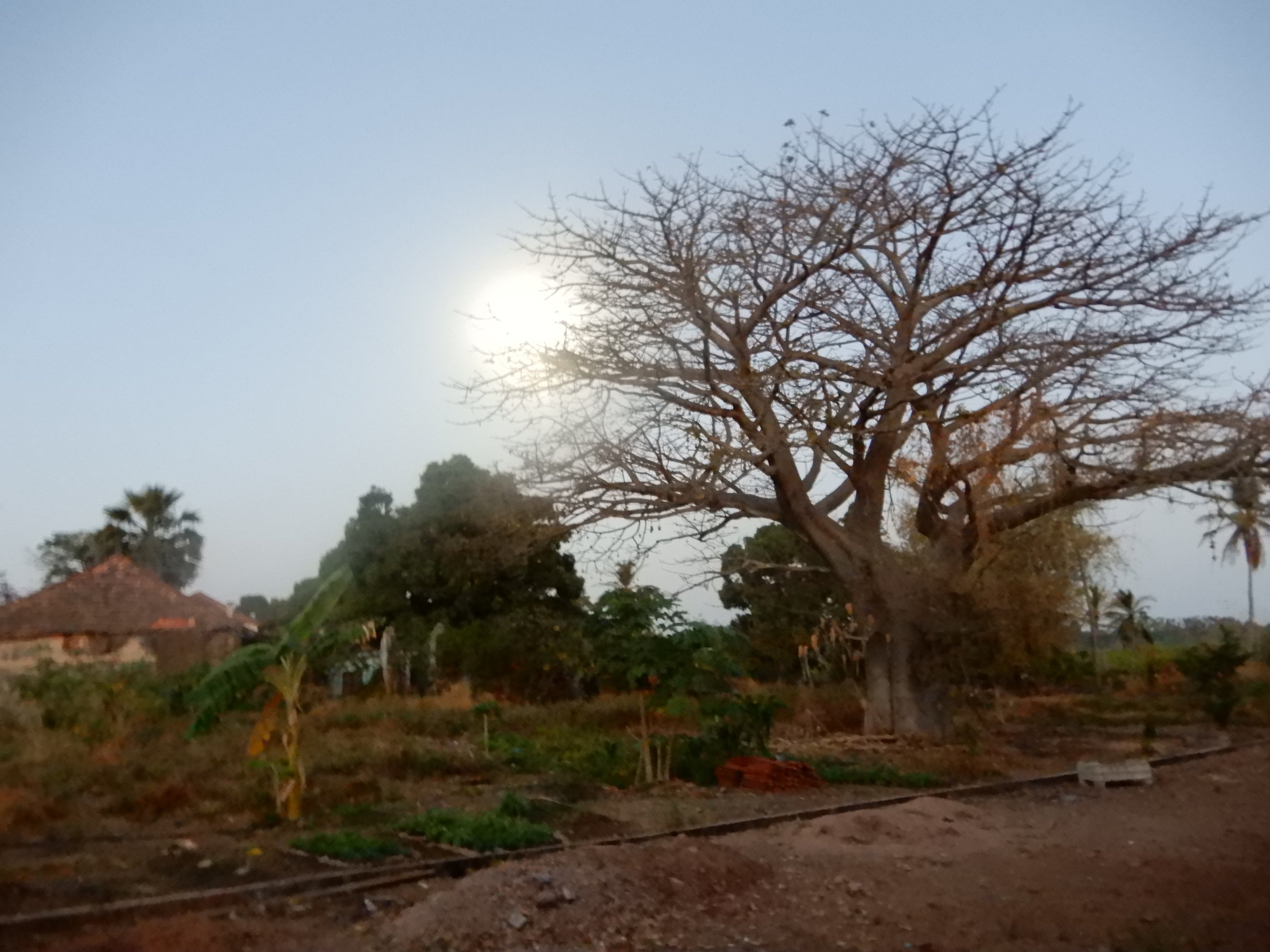 Guinea-Bissau — image 1