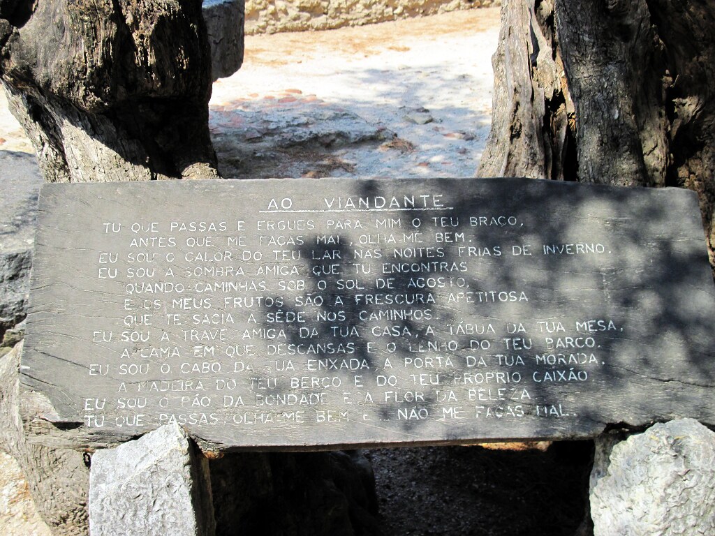Madeira — photo 15