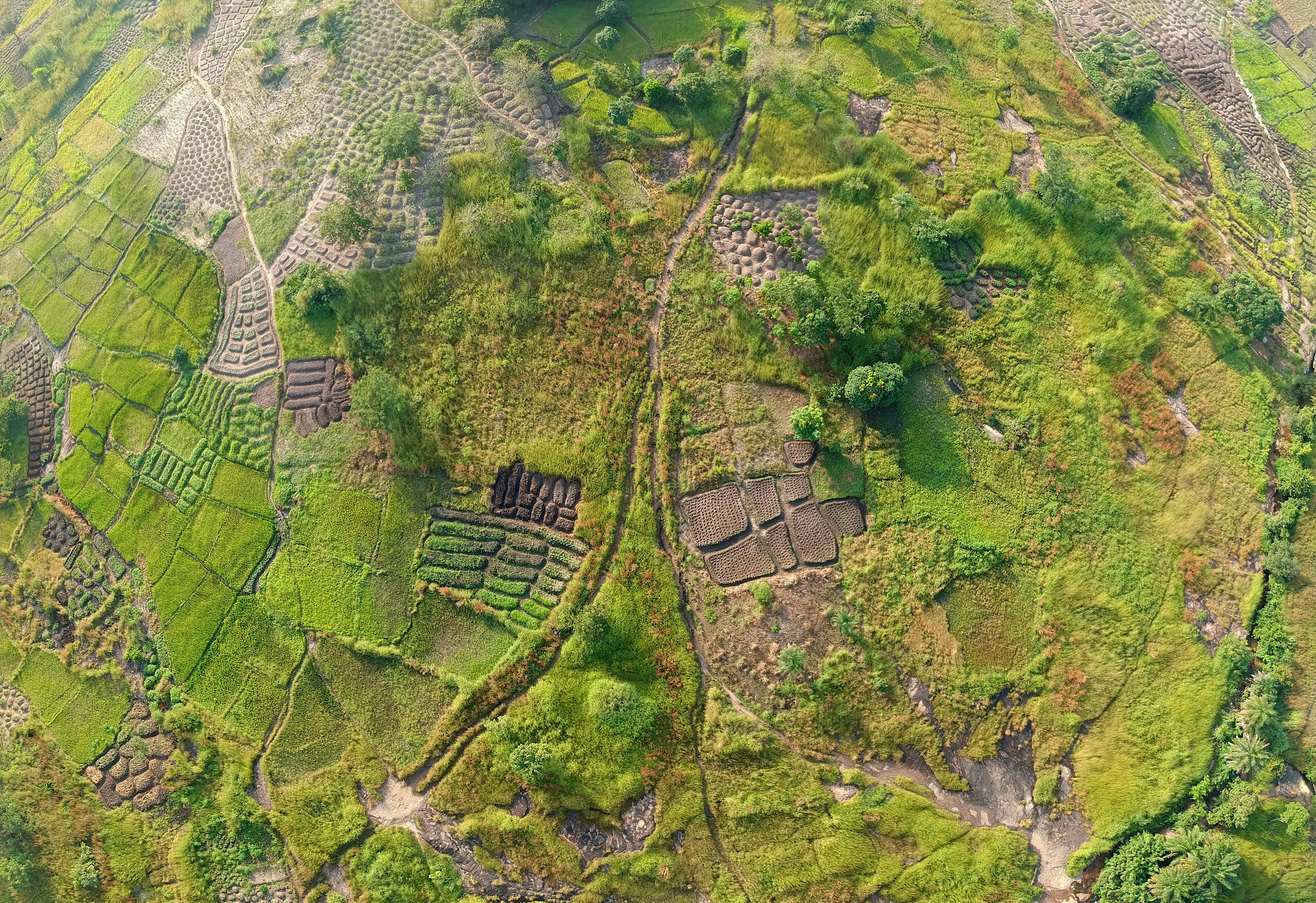 Equatorial Guinea — image 3
