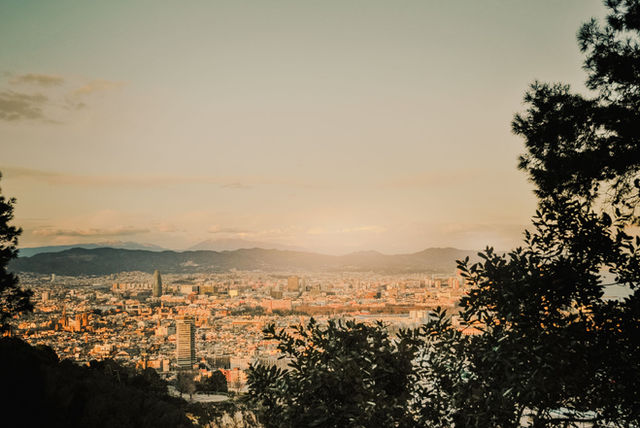 Beautiful aerial view of Barcelona cityscape framed by trees at sunset.