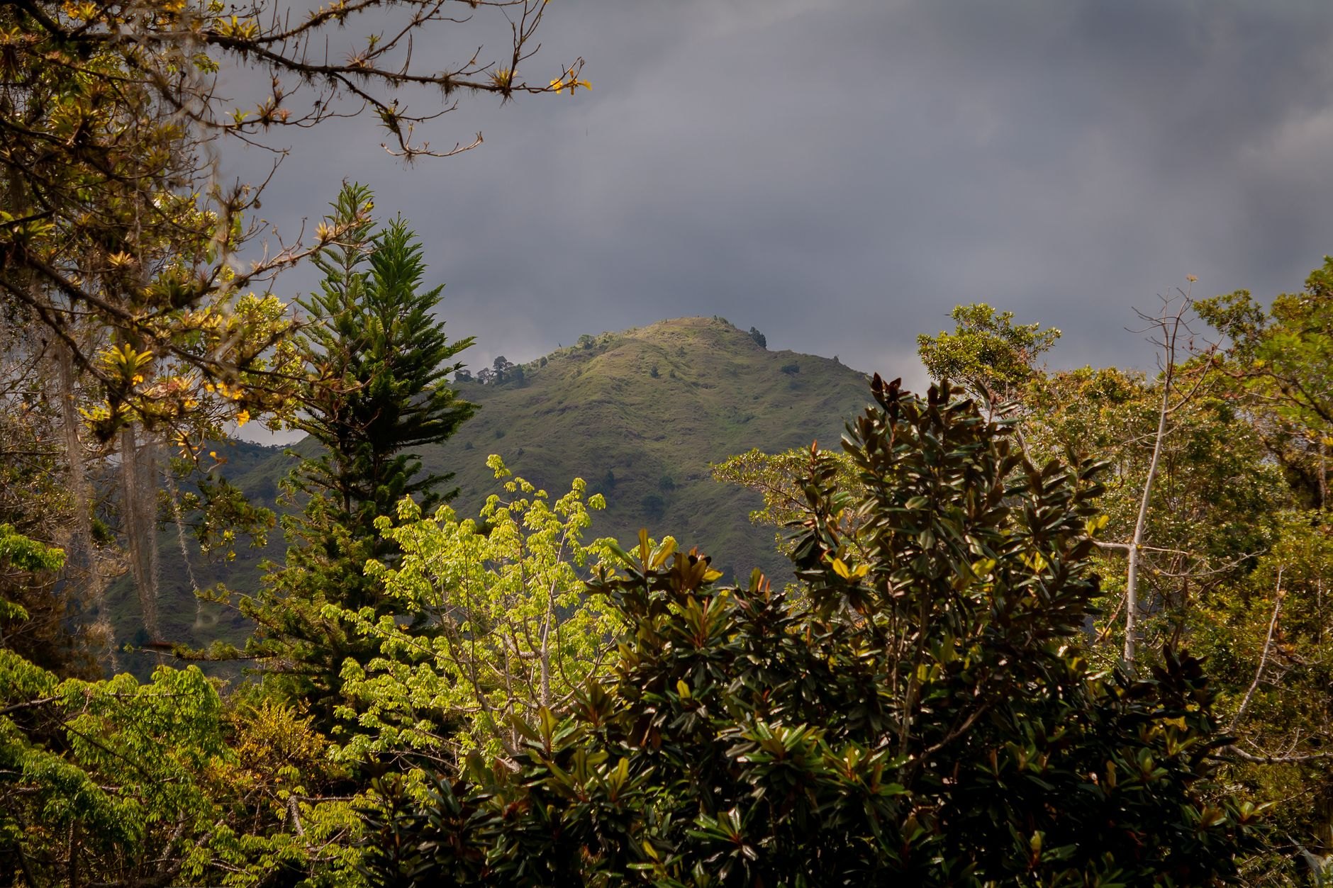 Venezuela — image 2