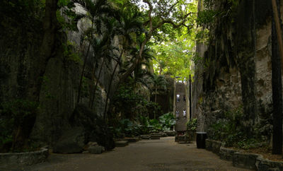 Queen's Staircase, Nassau & Paradise Island