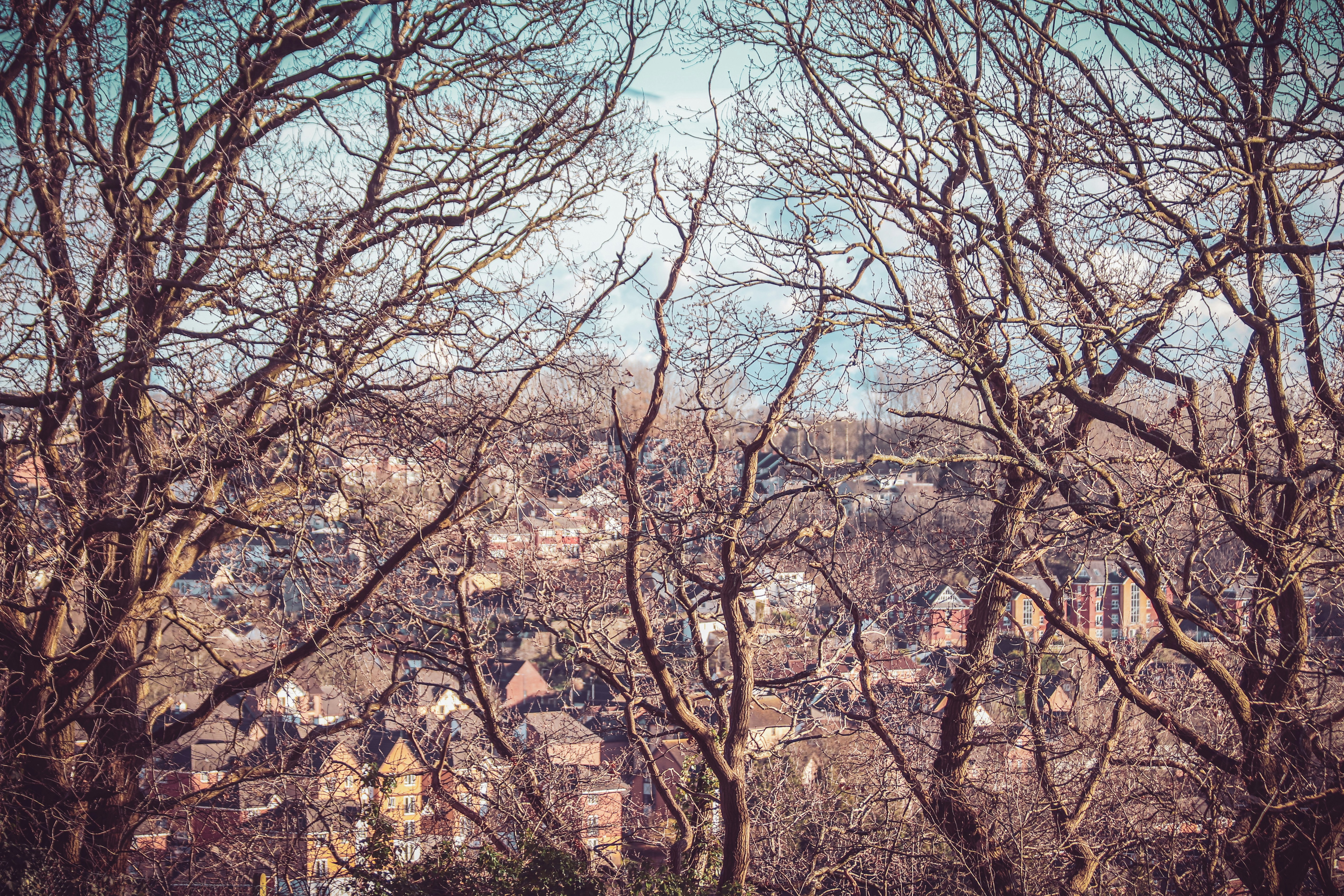 United Kingdom — image 3
