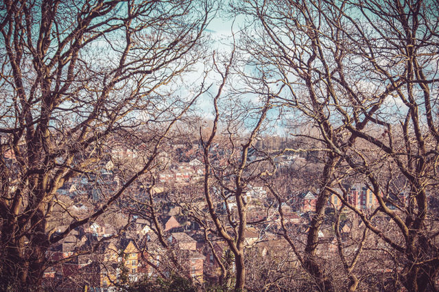 a view of a city through the trees