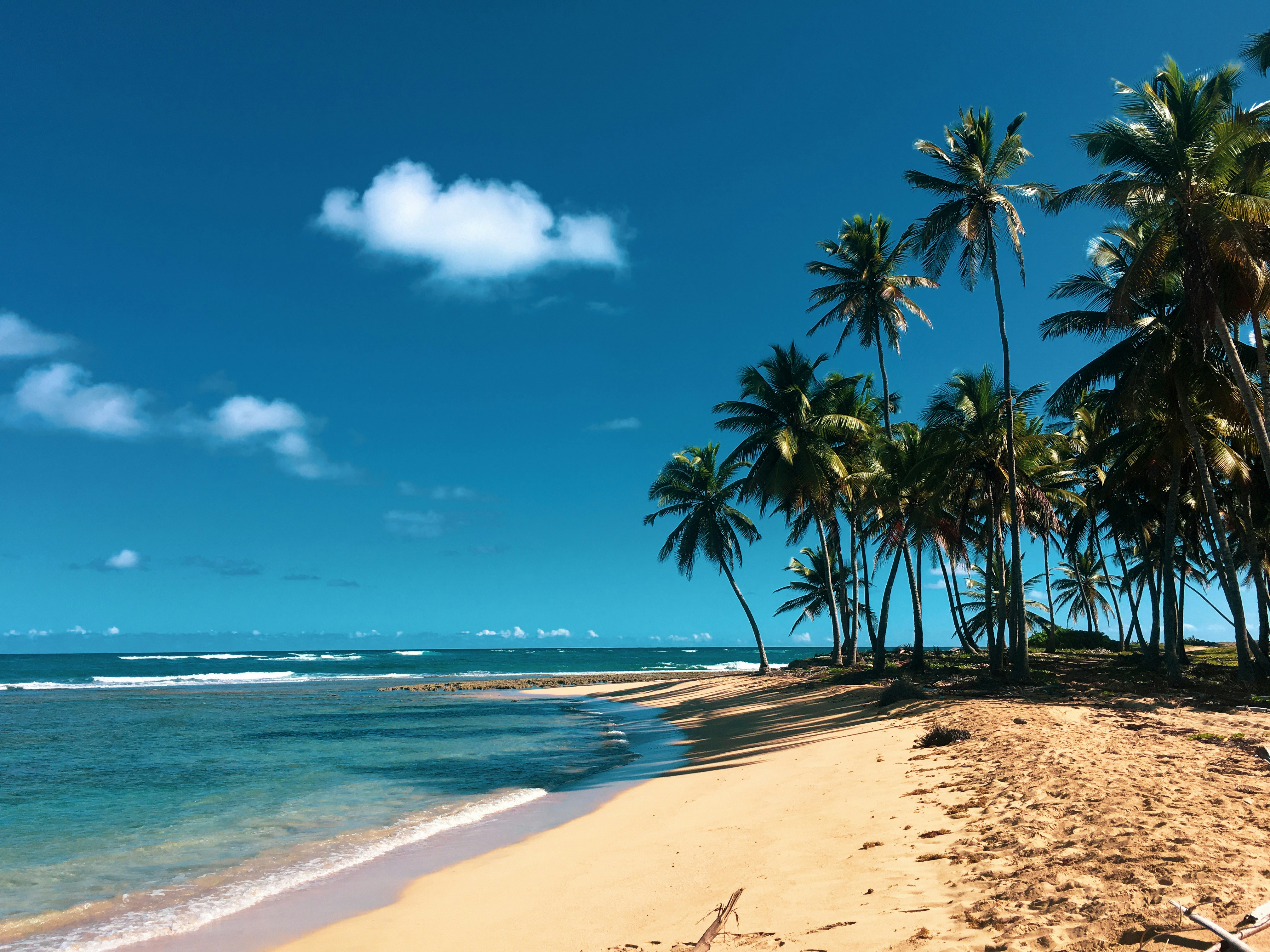 Dominican Republic — image 2