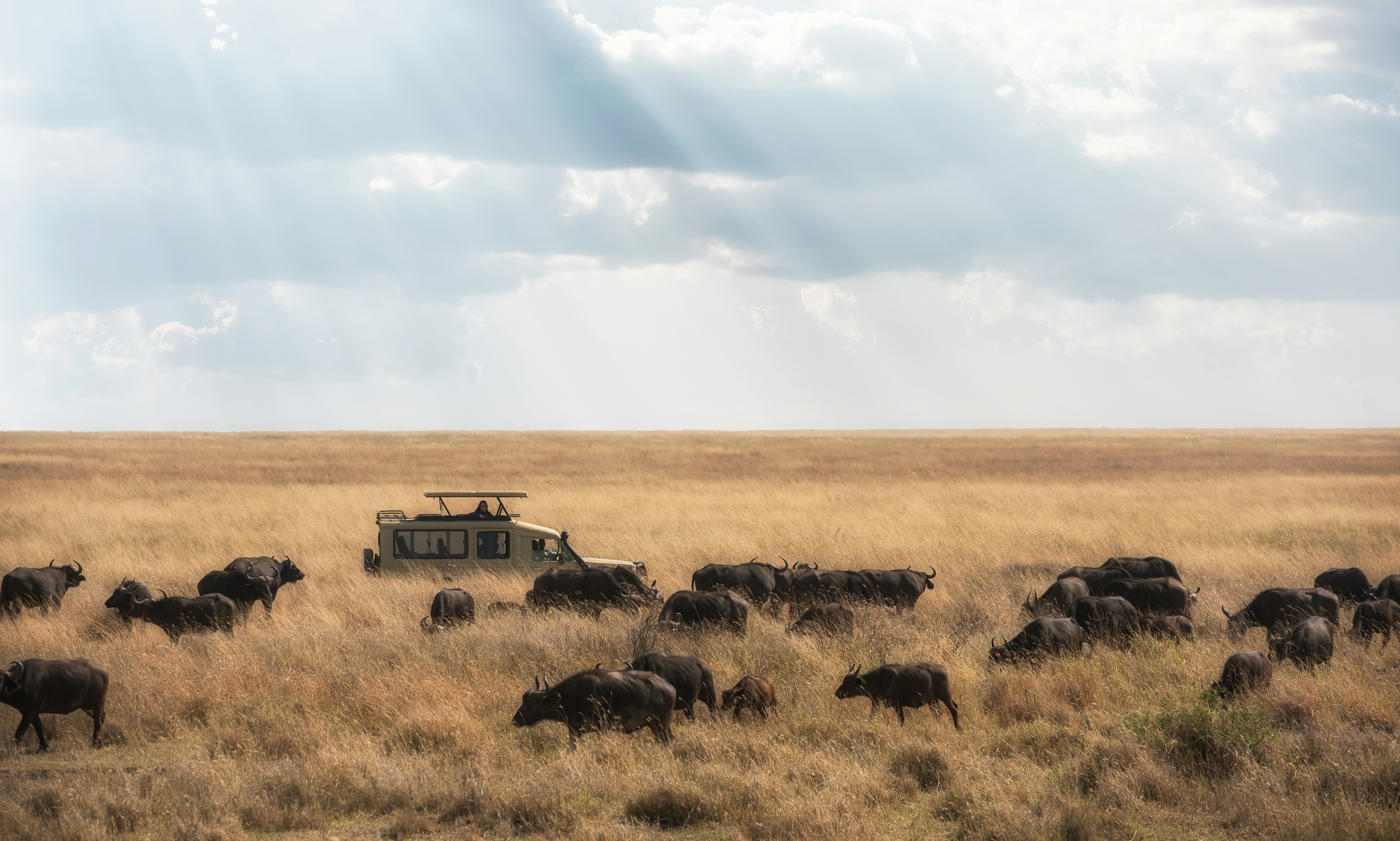 Tanzania — image 4