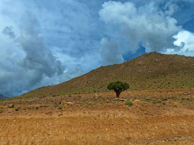 green grass field under white clouds during daytime