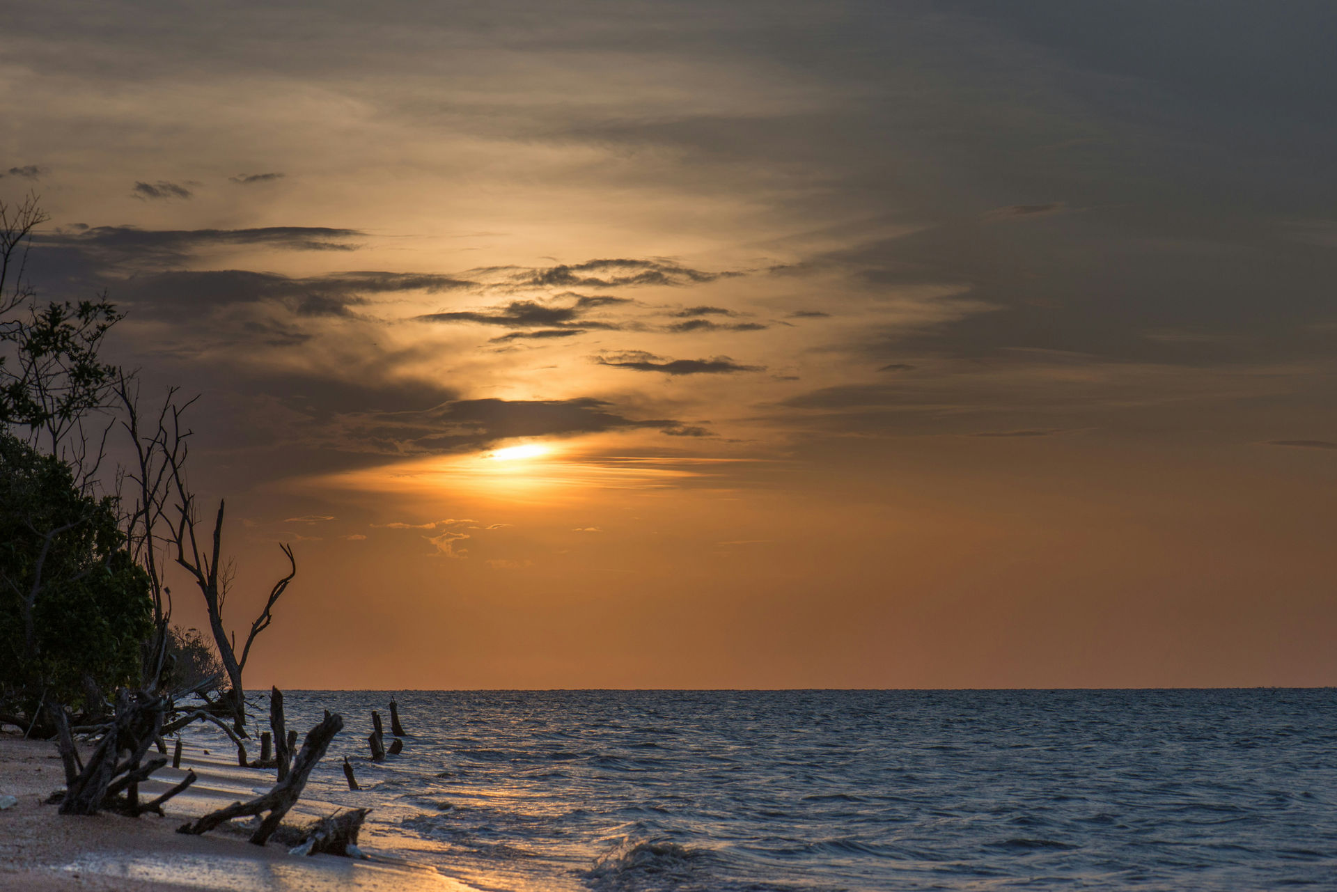 Suriname — hero