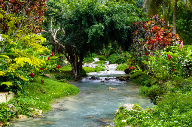 Water stream in the nature