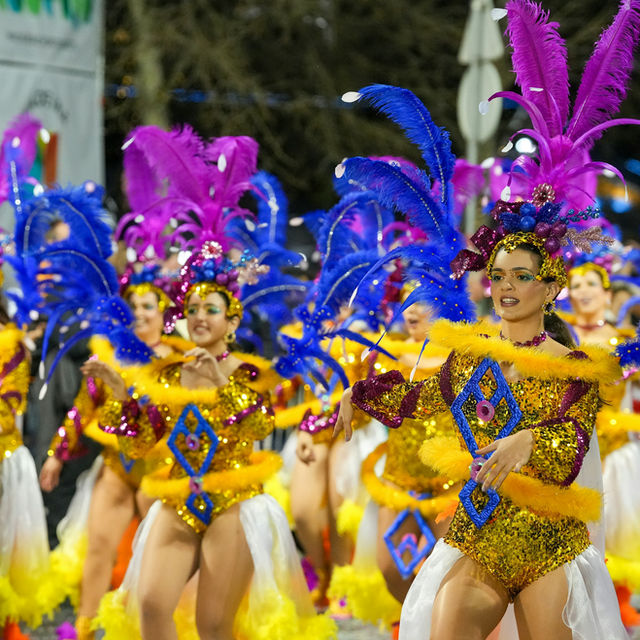 Gold and cobalt in rank, plumes above the crowd — the Madeira carnival