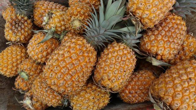 My dads Pineapples