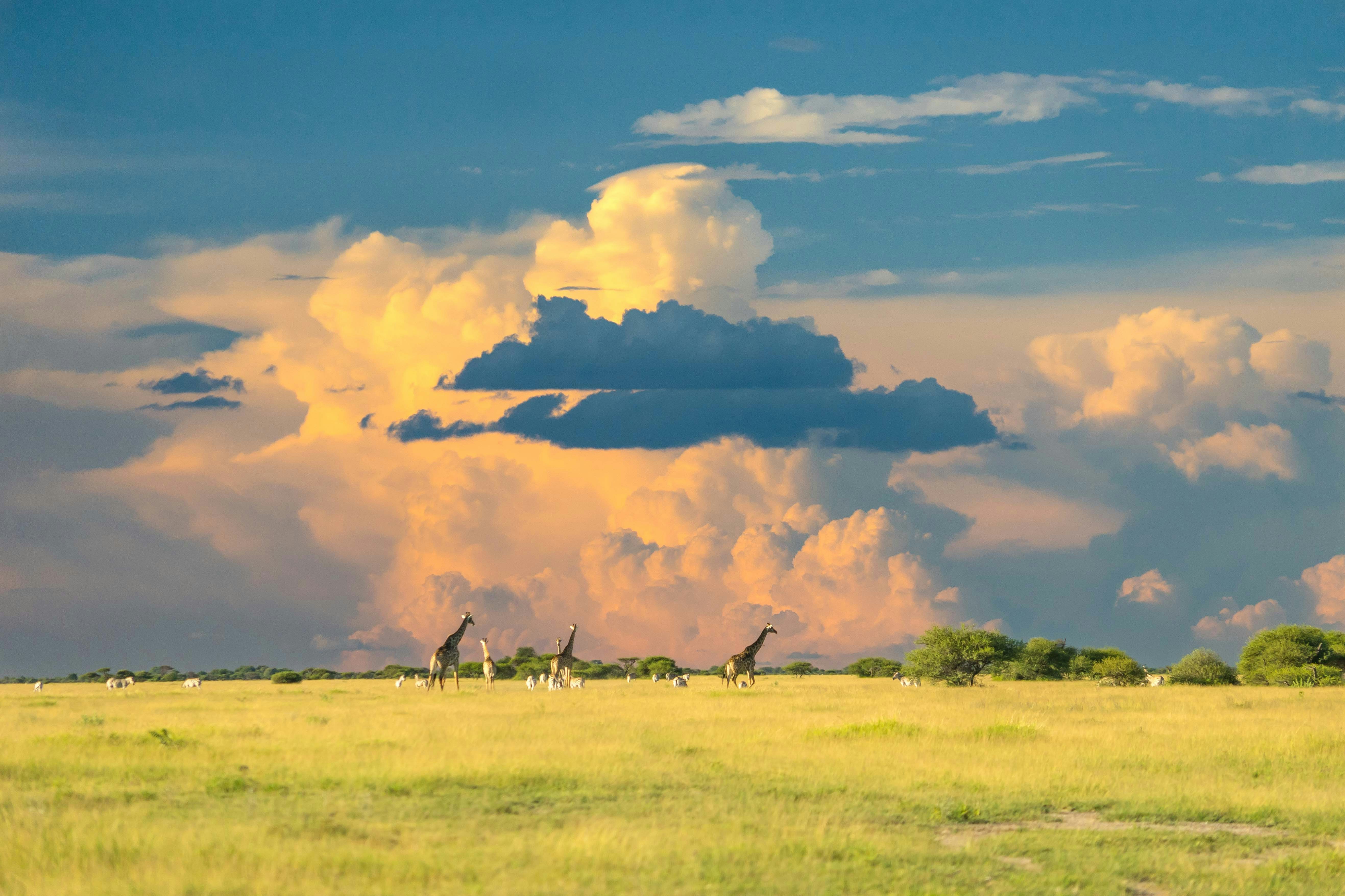 Botswana — image 2