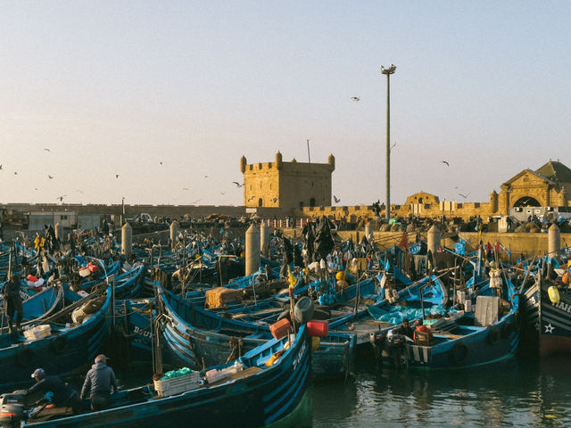 Colorful fishing boats moored in the bustling port of Essaouira, Morocco, with historic fortifications in view.