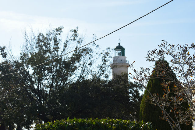 A lighthouse is visible through trees on a clear day.