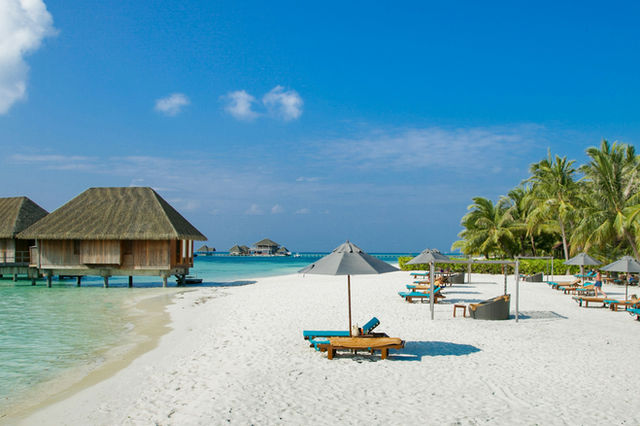 Beach view of a Maldivian island with blue skies, turquoise waters, white sands and vibrant green palm trees.