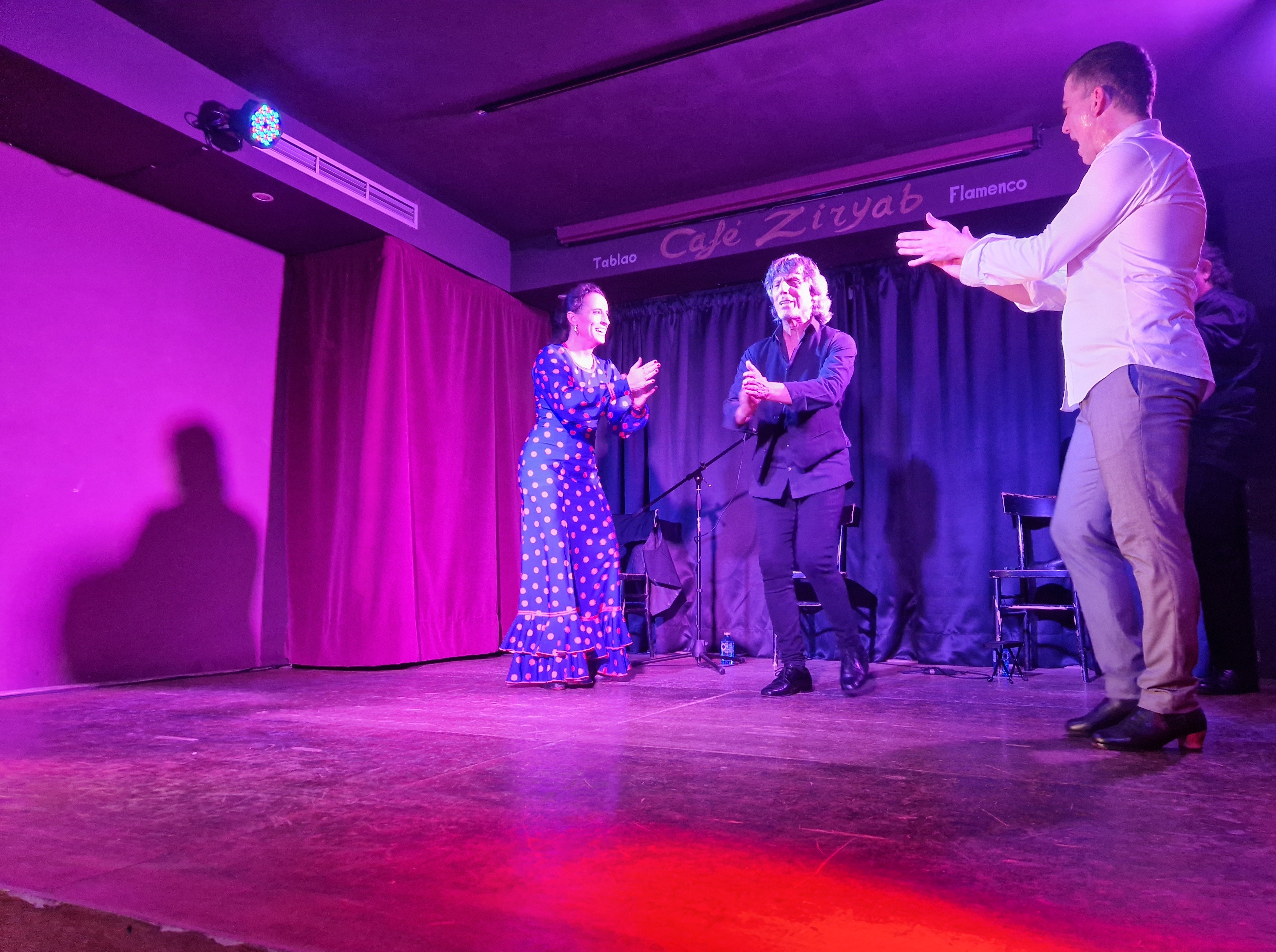 Flamenco performance in Madrid