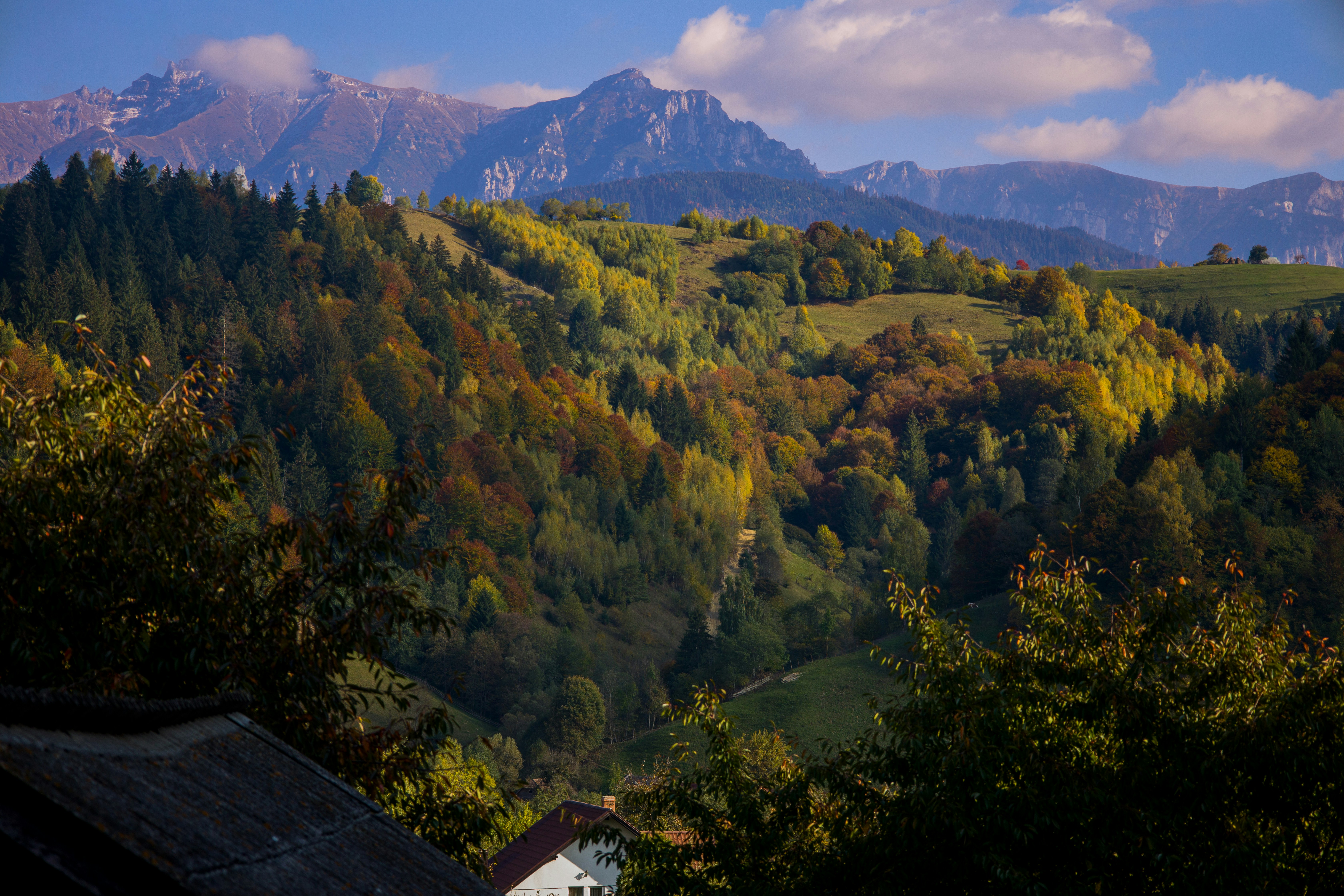 Romania — image 3