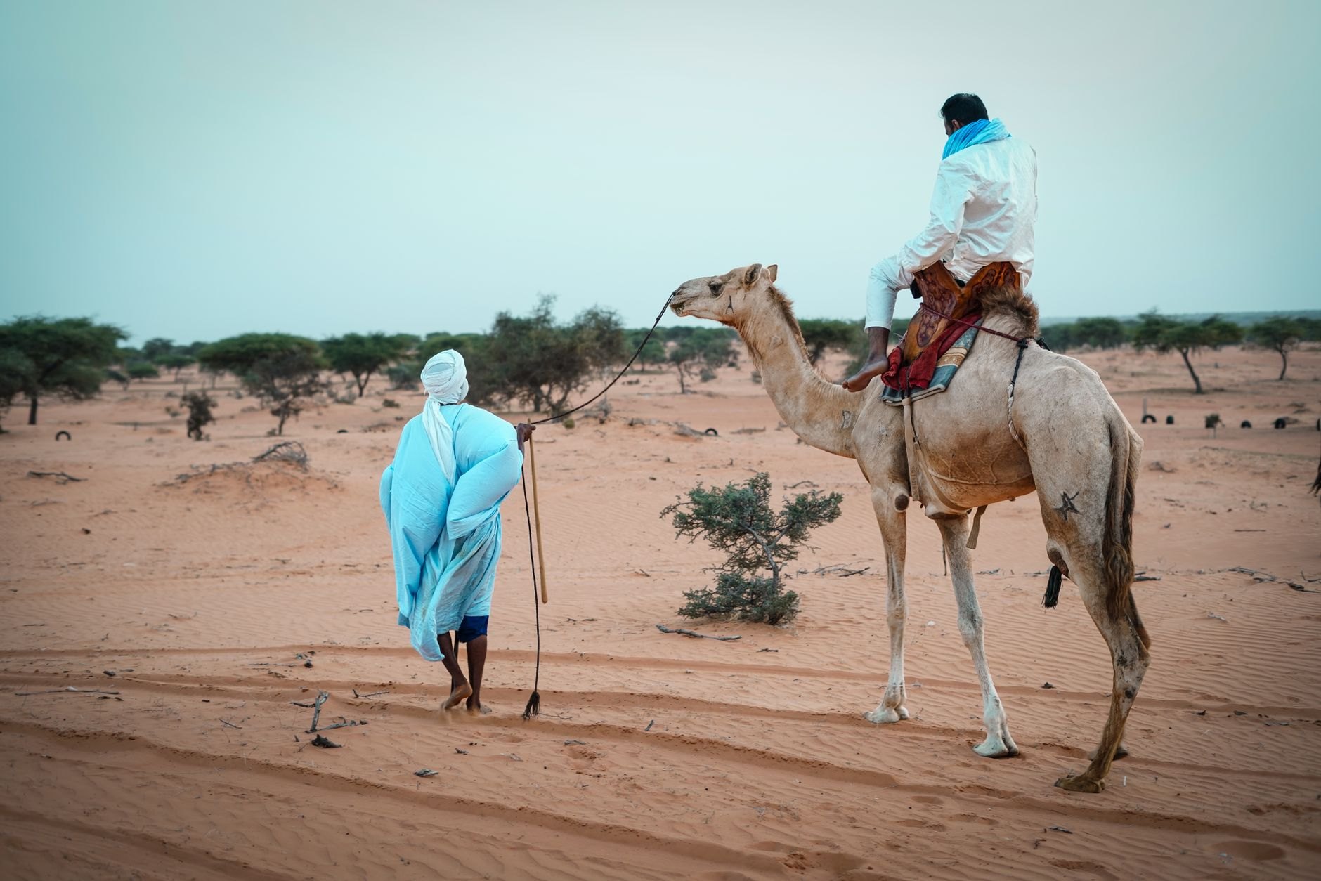 Mauritania — image 3