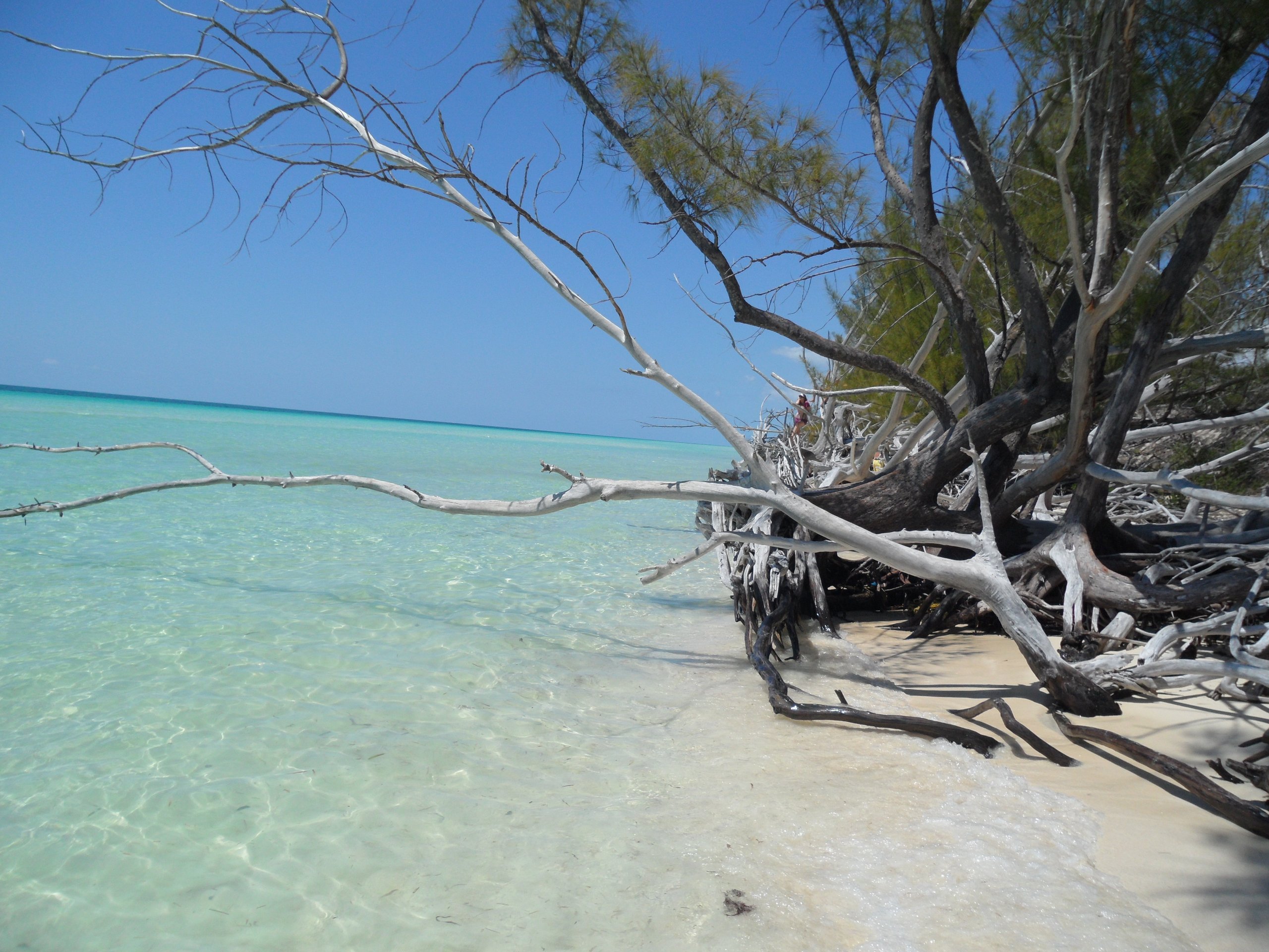 Grand Bahama, The Bahamas