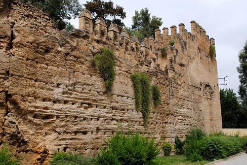 Fes — photo 15