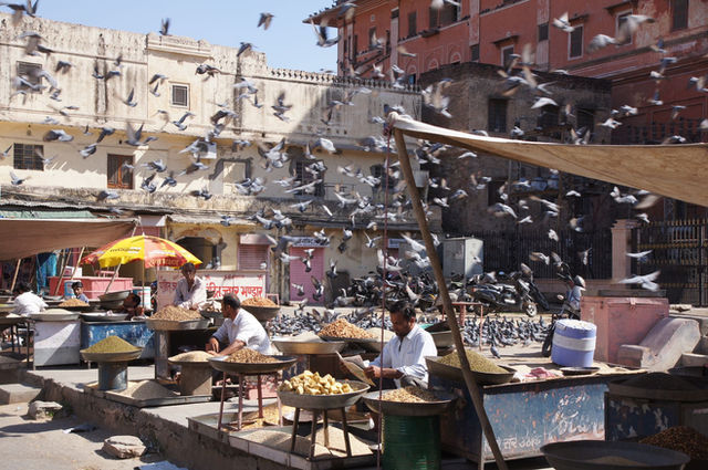 A bustling market in Jaipur, India, with vendors and pigeons in flight.