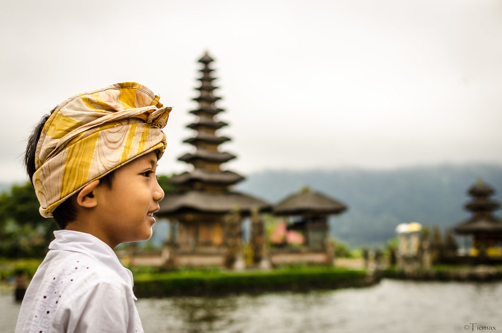 Ubud — photo 10