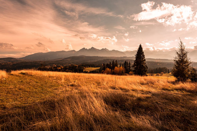 Capture of the golden fields and majestic Tatra Mountains during autumn in Poland.