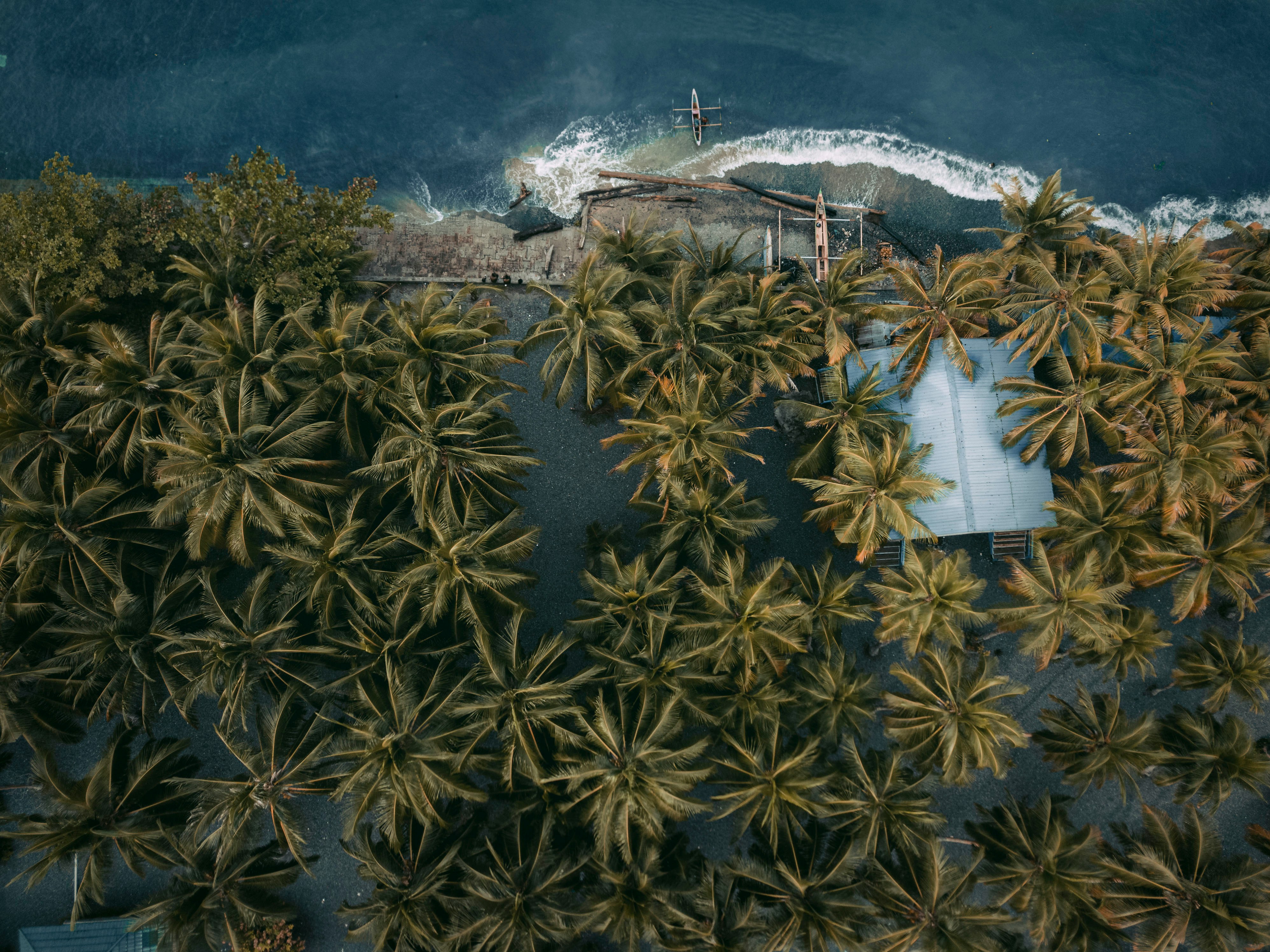 Papua New Guinea — image 2