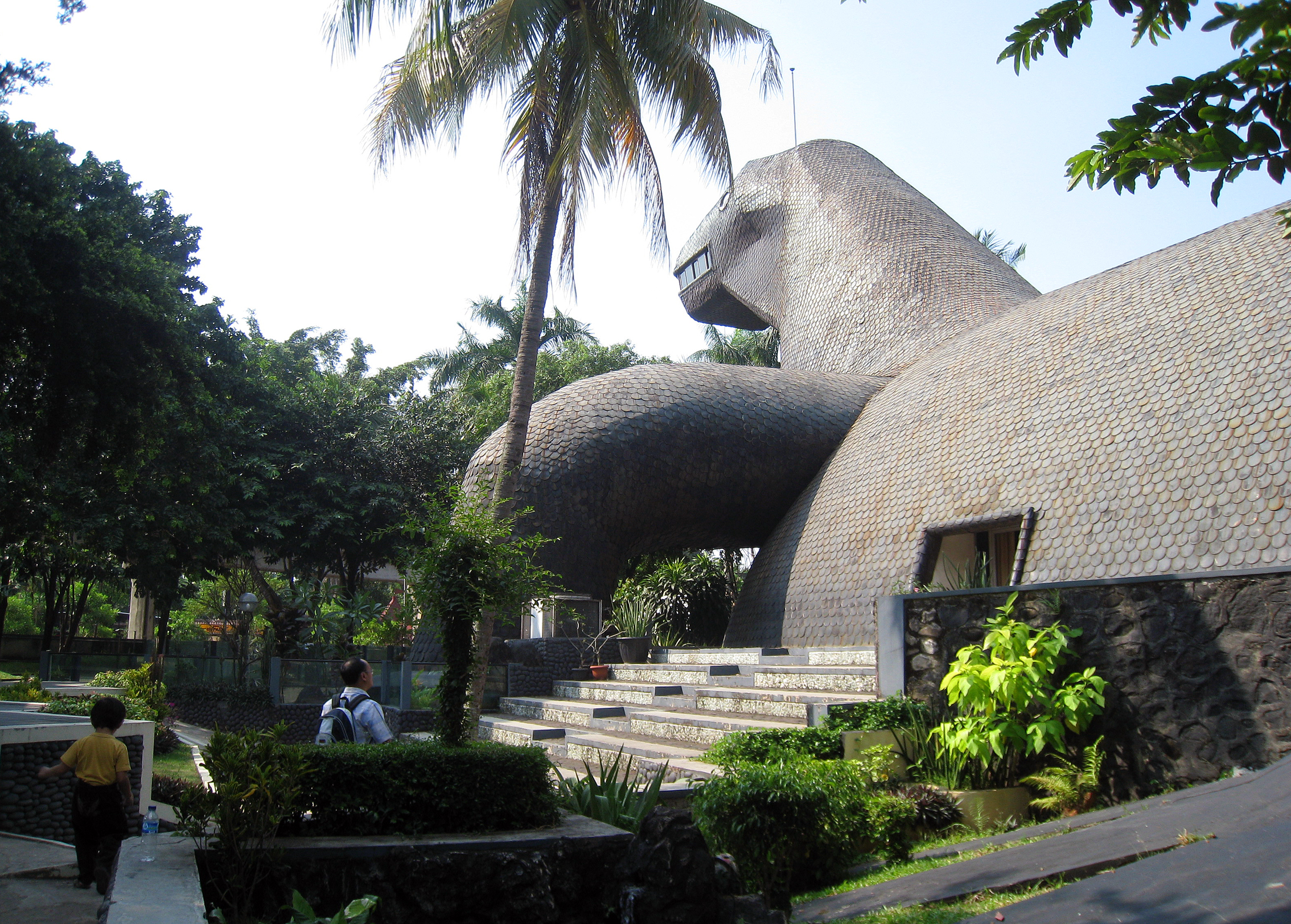 Komodo — photo 12