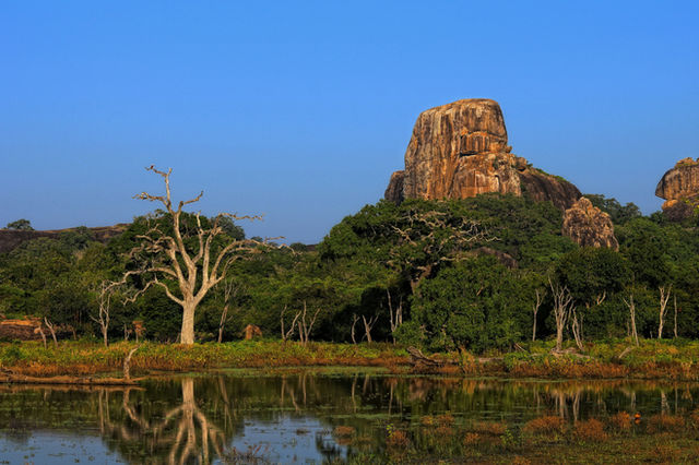 The one warm day in Yala National park. You can see the crocodile on the log, just use attention and zoom