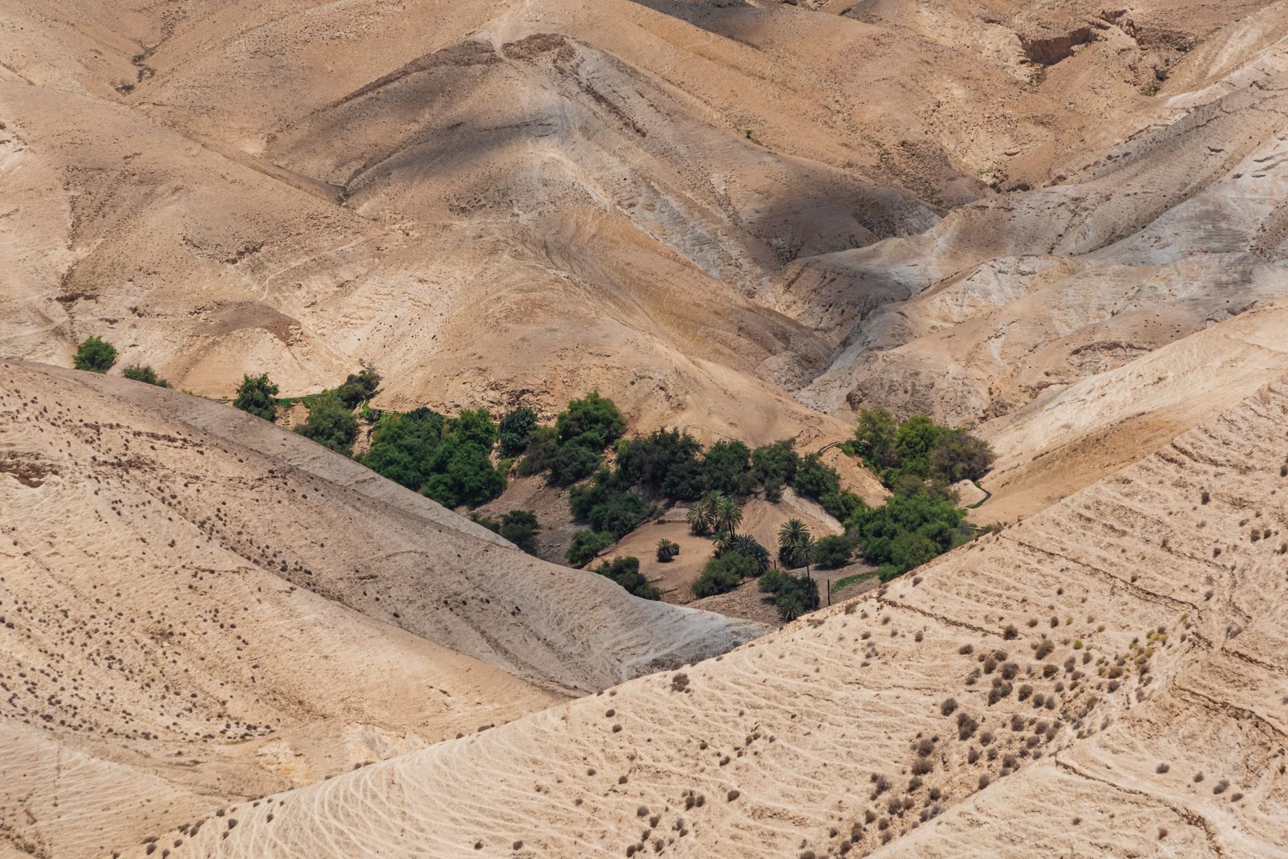 Israel — image 3
