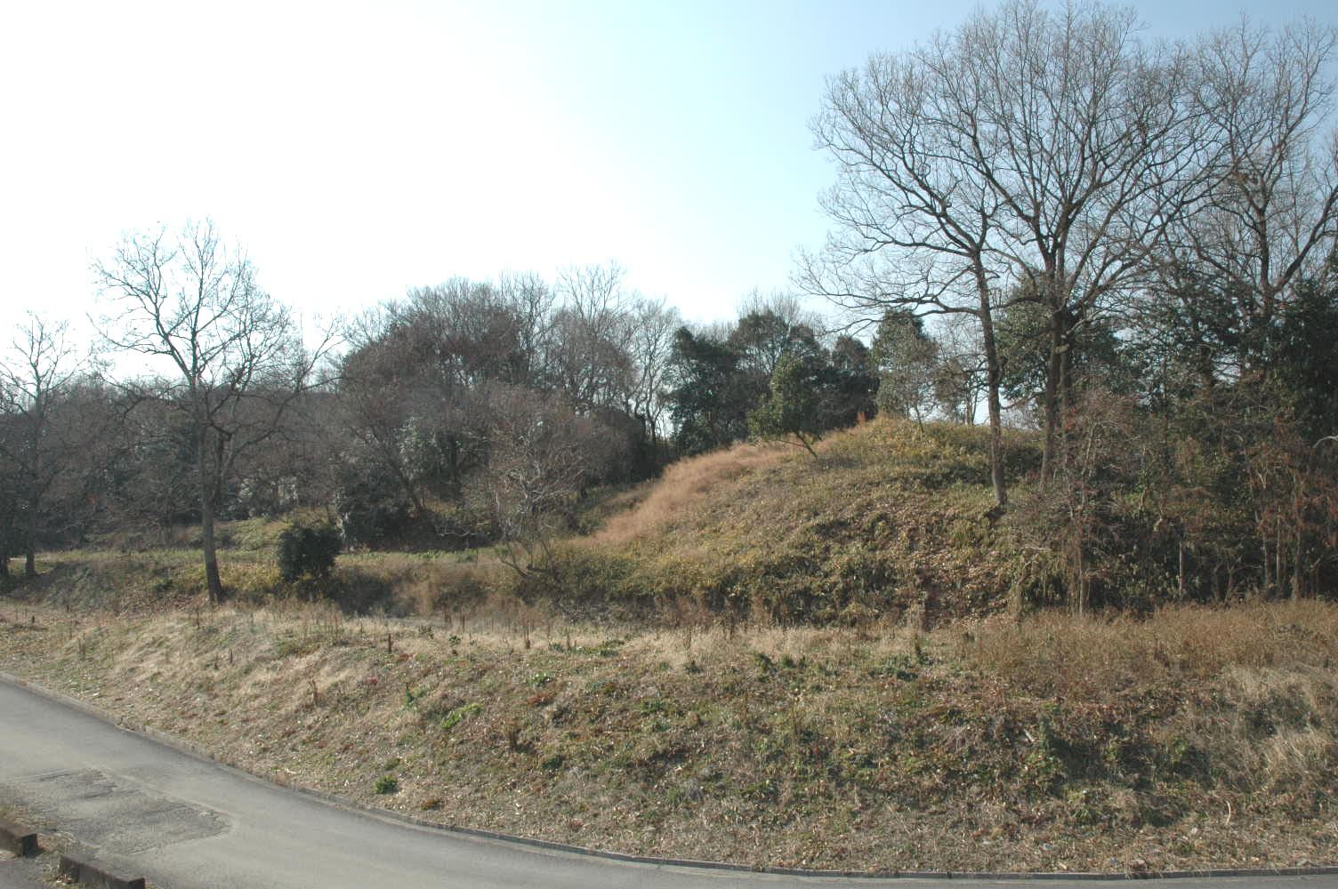 Nara — photo 5