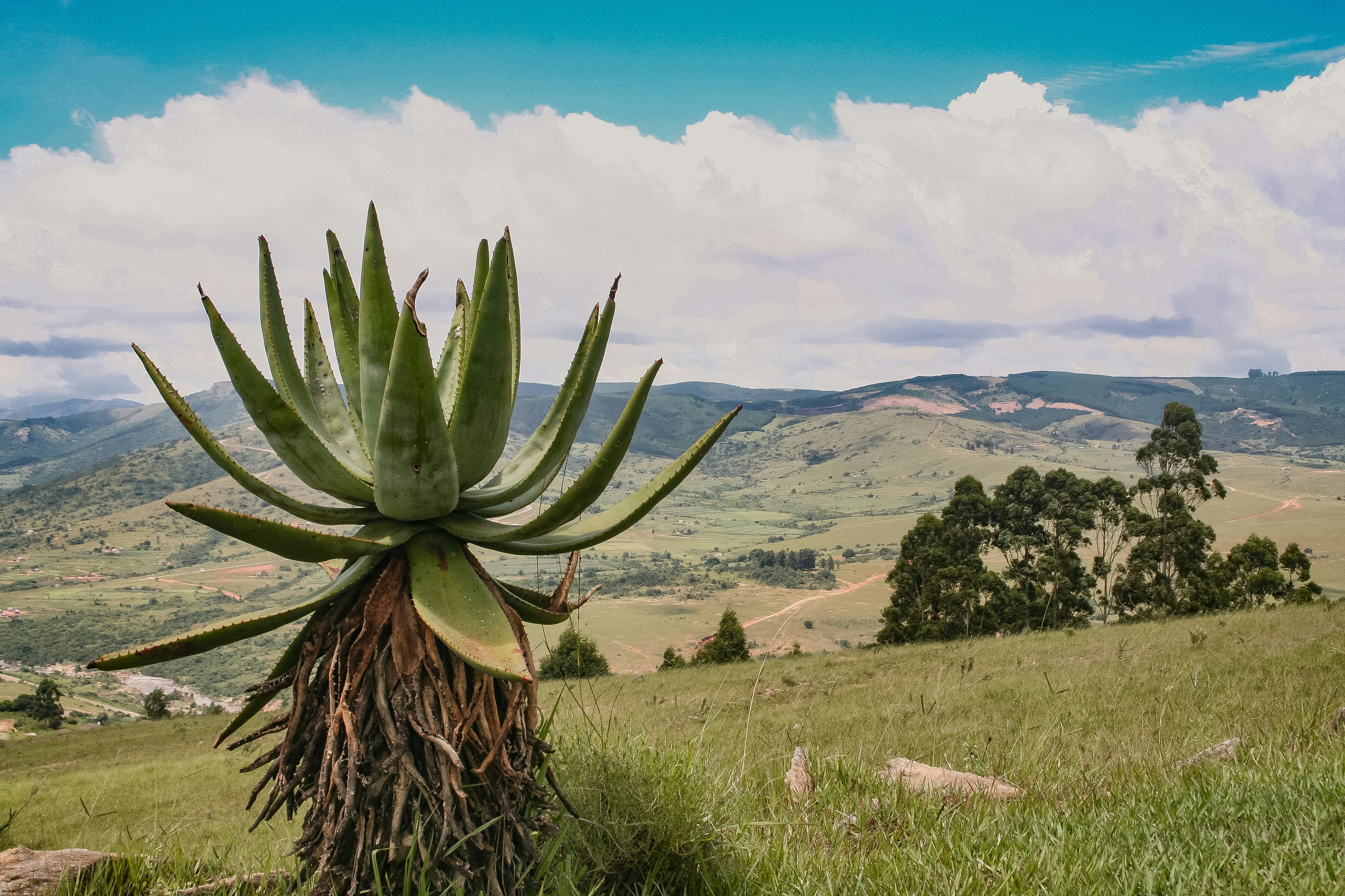 Eswatini — image 4