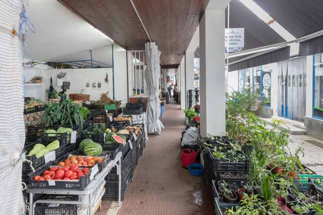 Duke of Bragança Market, Angra do Heroísmo, Terceira Island, Azores, Portugal