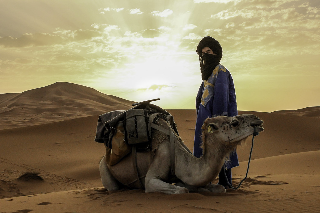 Sahara Desert — photo 19