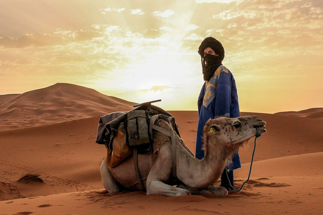 Sahara Desert — photo 19
