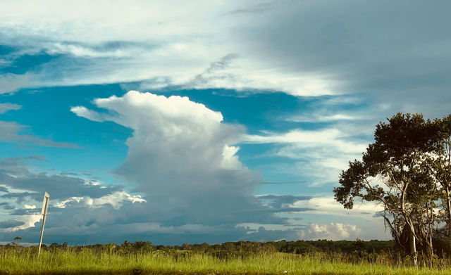 green grass field under blue sky and white clouds during daytime