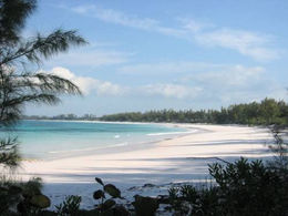 French Leave Beach