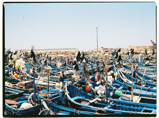Colorful fishing boats densely packed in the historic harbor of Essaouira, Morocco.